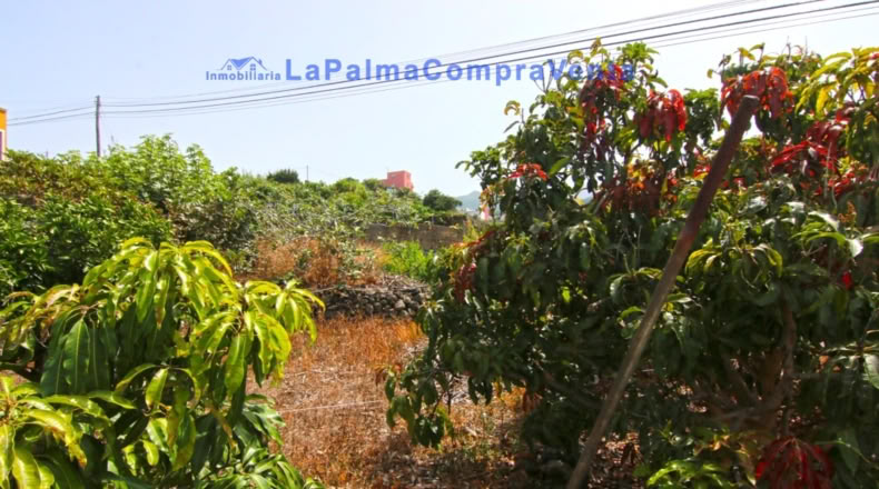 Santa Creu de Tenerife - Puerto Espíndola - 414m2