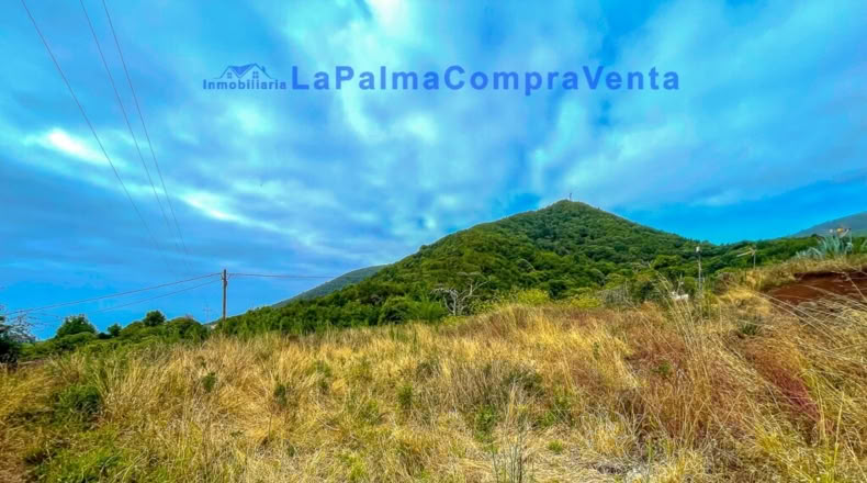 Santa Creu de Tenerife - Puntallana - 2393m2