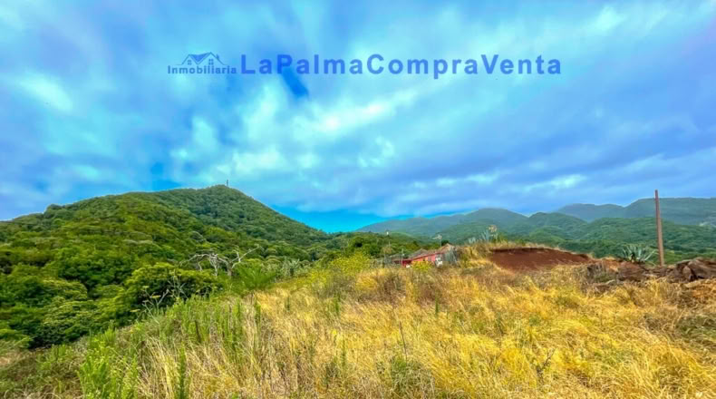 Santa Creu de Tenerife - Puntallana - 2393m2