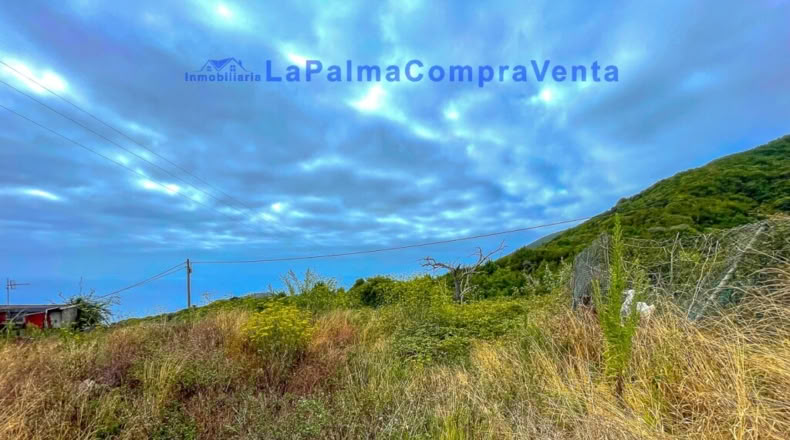 Santa Creu de Tenerife - Puntallana - 2393m2