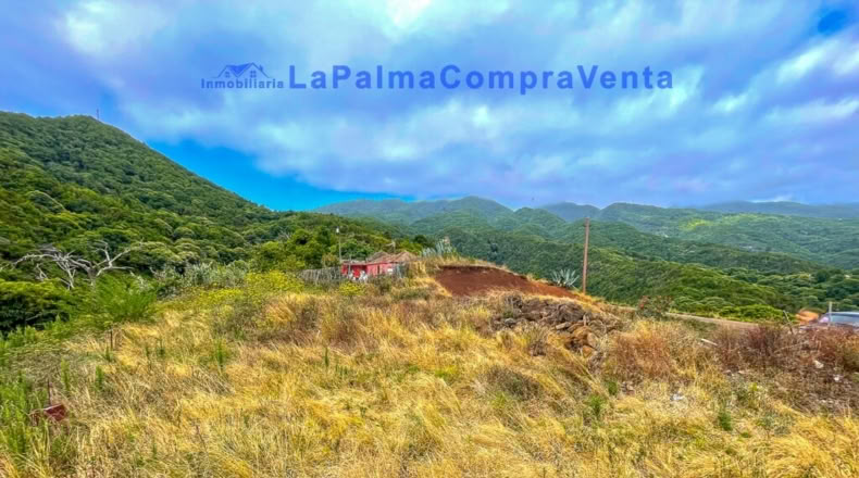 Santa Creu de Tenerife - Puntallana - 2393m2