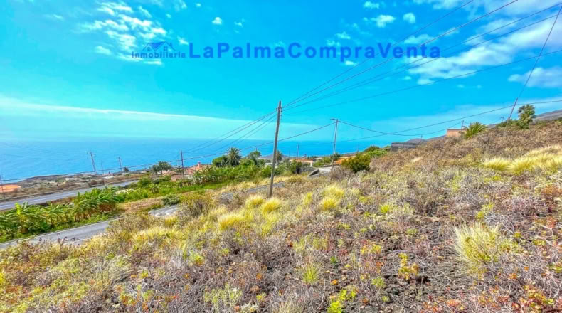 Santa Cruz de Tenerife - Monte de Pueblo - 1201m2