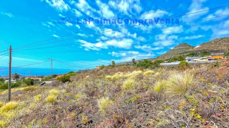 Santa Cruz de Tenerife - Monte de Pueblo - 1201m2