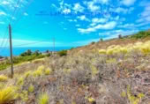 Non-developable land for sale in Mazo ref: TR307652 photo