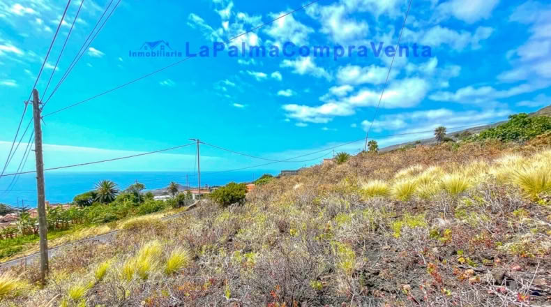 Santa Cruz de Tenerife - Monte de Pueblo - 1201m2