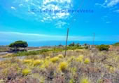 Non-developable land for sale in Mazo ref: TR307652 photo
