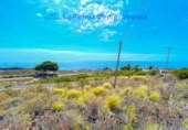 Non-developable land for sale in Mazo ref: TR307652 photo