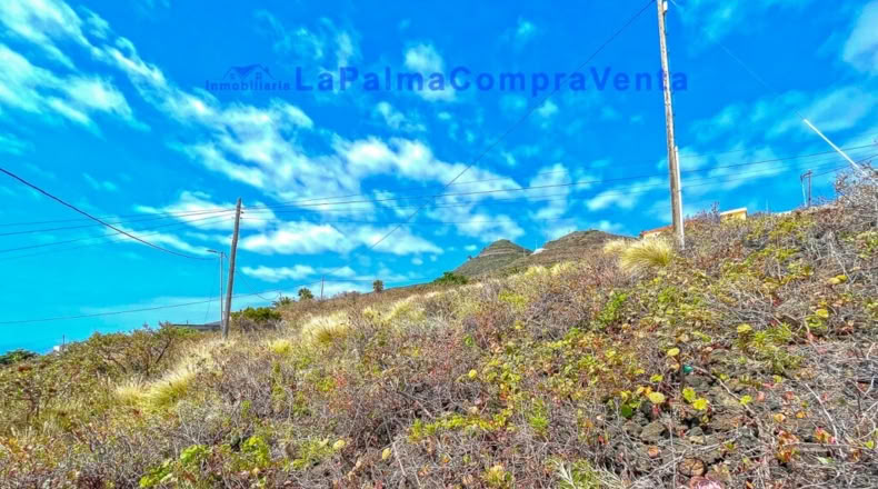 Santa Cruz de Tenerife - Monte de Pueblo - 1201m2