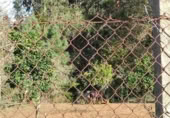 Terreny no urbanitzable en venda a Gondomar ref.: TR108184 foto