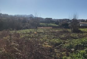 Vigo 1250&nbsp;m² 