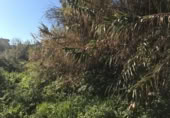 Terreno no urbanizable en venta en Vigo ref: TR108182 foto