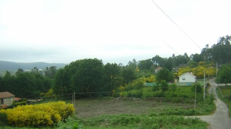 Pontevedra - Rial - 1400m2