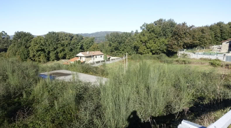 Pontevedra - Rial - 1400m2