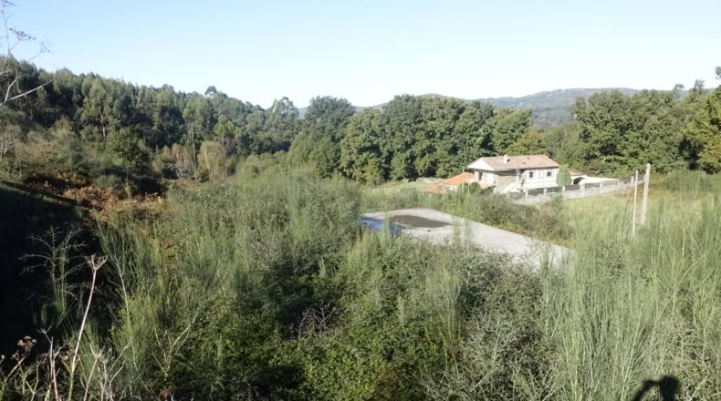 Pontevedra - Rial - 1400m2