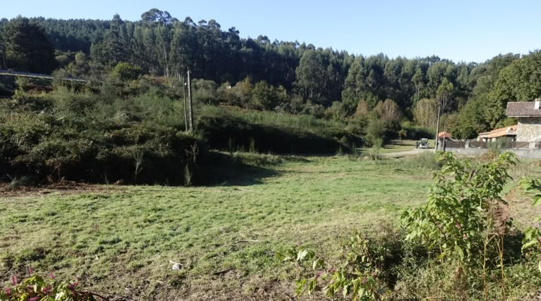 Pontevedra - Rial - 1400m2