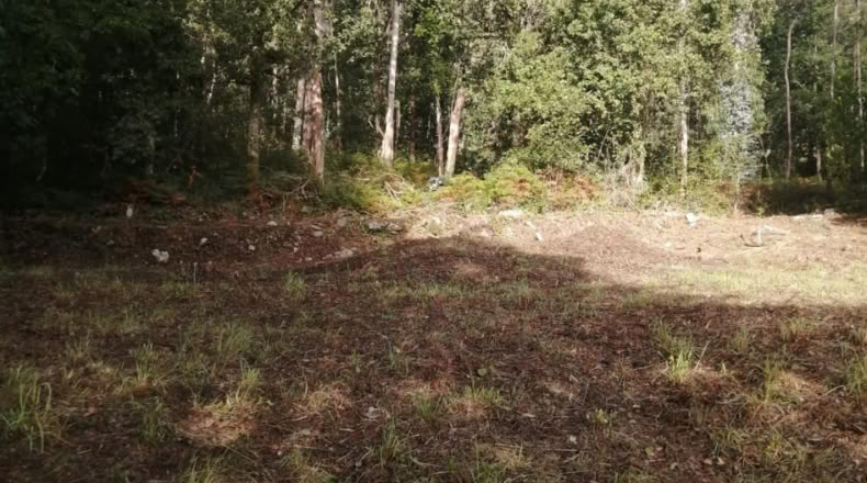Pontevedra - Ponteareas - 852m2