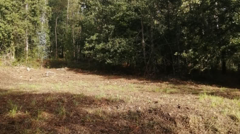 Pontevedra - Ponteareas - 852m2
