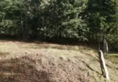 Non-developable land for sale in Ponteareas ref: TR108178 photo