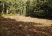 Non-developable land for sale in Ponteareas ref: TR108178 photo