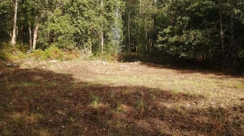 Pontevedra - Ponteareas - 852m2