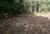 Non-developable land for sale in Ponteareas ref: TR108178 photo