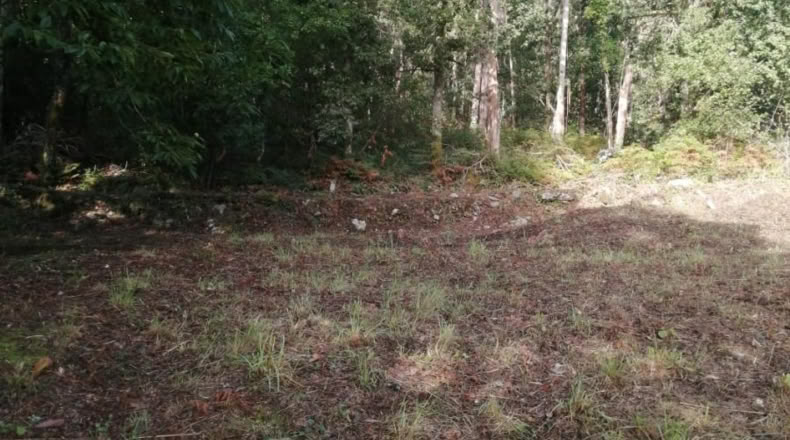 Pontevedra - Ponteareas - 852m2