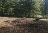 Non-developable land for sale in Ponteareas ref: TR108178 photo