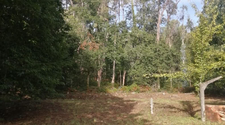 Pontevedra - Ponteareas - 852m2