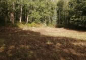 Non-developable land for sale in Ponteareas ref: TR108178 photo