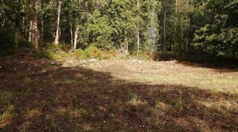 Pontevedra - Ponteareas - 852m2