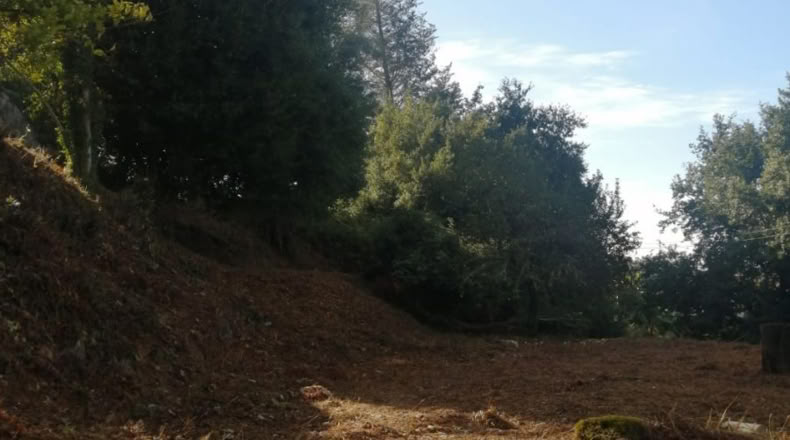 Pontevedra - Ponteareas - 1058m2