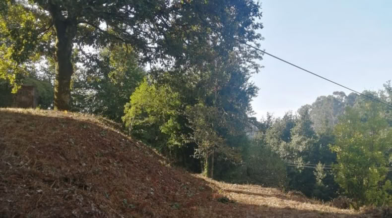 Pontevedra - Ponteareas - 1058m2