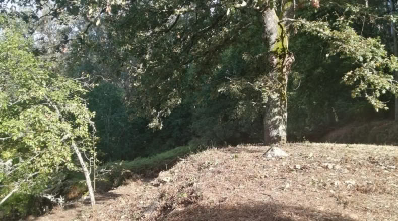 Pontevedra - Ponteareas - 1058m2