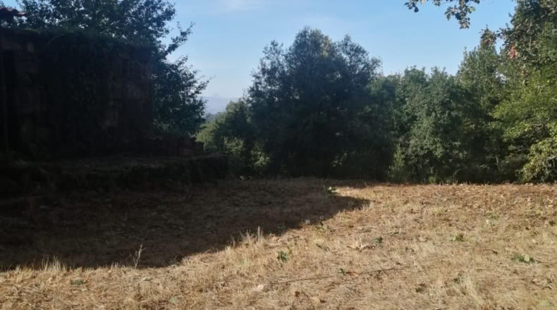 Pontevedra - Ponteareas - 1058m2