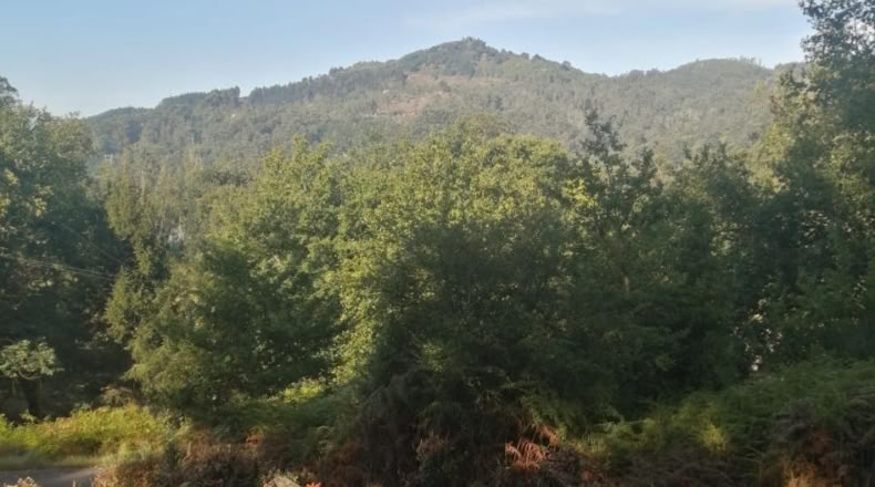 Pontevedra - Ponteareas - 1058m2