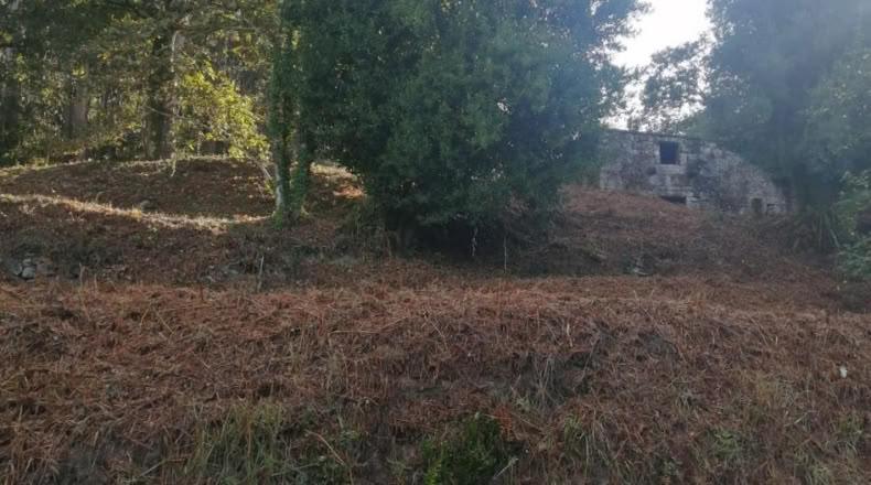 Pontevedra - Ponteareas - 1058m2