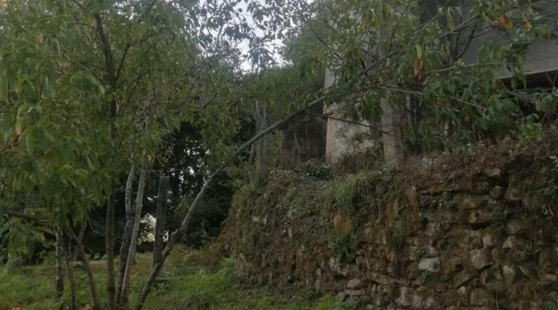 Pontevedra - A Cigarreira - 50m2