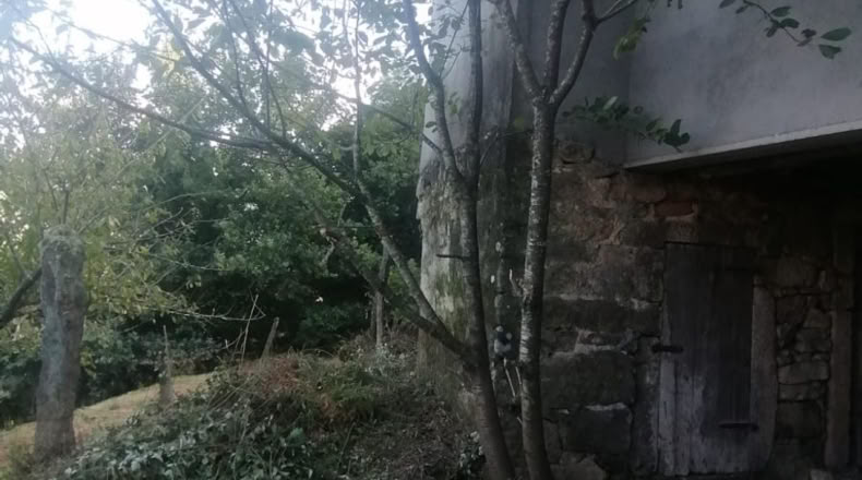 Pontevedra - A Cigarreira - 50m2