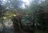 Village house for sale in O Carboal ref: TR108113 photo
