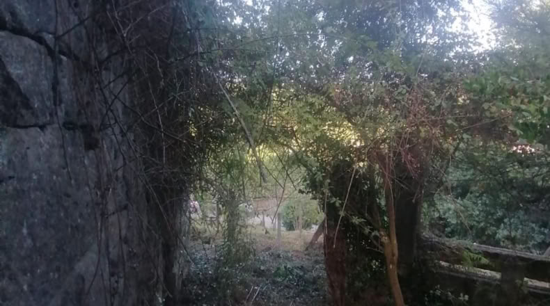 Pontevedra - A Cigarreira - 50m2