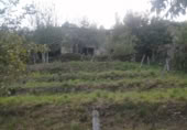 Village house for sale in O Carboal ref: TR108113 photo