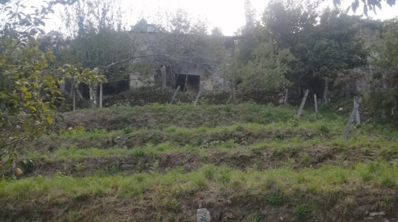 Pontevedra - A Cigarreira - 50m2