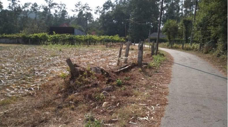 Pontevedra - Os Pazos Baixos - 2000m2