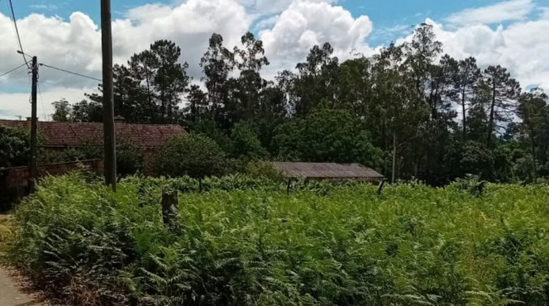 Pontevedra - Os Pazos Baixos - 2000m2