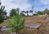 Parcel·la urbanitzable en venda a O Porrinyo ref.: TR108175 foto