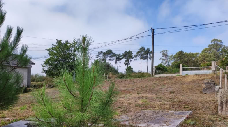 Pontevedra - Mosteiro - 602m2