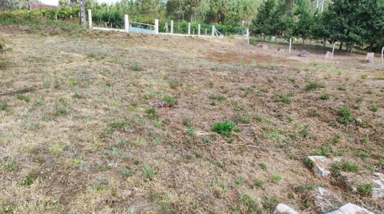 Pontevedra - Mosteiro - 602m2