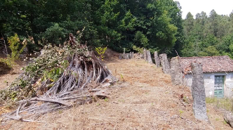 Pontevedra - Salceda de Caselas - 6000m2