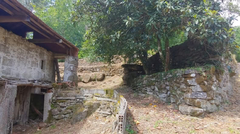 Pontevedra - Salceda de Caselas - 6000m2