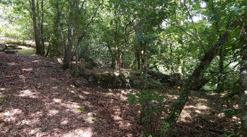 Pontevedra - Salceda de Caselas - 6000m2